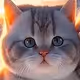 IA Beautiful cat