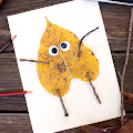 My Nature Drawings