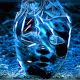 Facets for the world