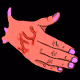 The First Touch