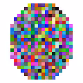 The Colorful Collection