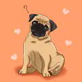 Tehe Pugs