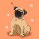 Tehe Pugs