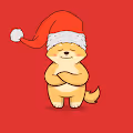 shiba inu new collections
