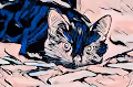 colection animale art