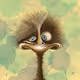 OstrichCollection