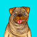 "Boney The Pug Series Collection-Phase One"