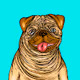 "Boney The Pug Series Collection-Phase One"