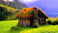 nature_01.