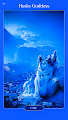 Diamond Husky Royals