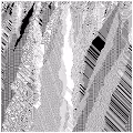 cellular automata 5