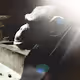 L.I.Z