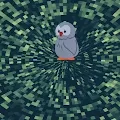carrier bird