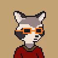 Crypto Raccoon Official