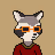 Crypto Raccoon Official