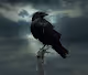 Game Of Thrones #1