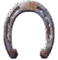 Vopa's Lucky Horseshoe