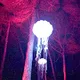 Illuminated nature