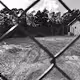 Break Free: No limitaion
