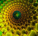 Fractalium Desert