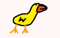 Dani Duckz