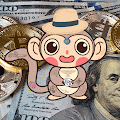Crypto_Monkey!!!