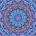 Succulent World Kaleidoscope Collection