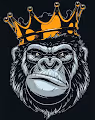 the best collection of monkeys