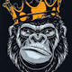 the best collection of monkeys