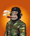 The Military Ape