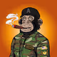 The Military Ape