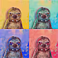 Bradypus variegatus