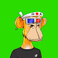 Swagger Apes Collection