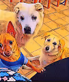 LOVE FOR STREET ANIMALS