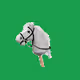 hobbyhorse
