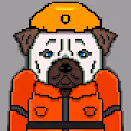 bulldog62