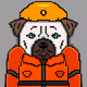 bulldog62