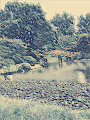 Scenes Of Beauty On Earth