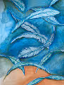 PaintedFeathers