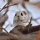 My nature photo