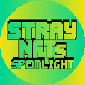 Stray NFTs Spotlight