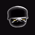 unknowninja