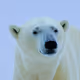 Amazing Nature Pics