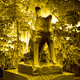 Holy Hachiko 333