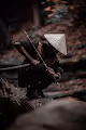 FT Collection - Ronin