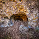 Nature - photo collection