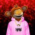 monkey crypto nft