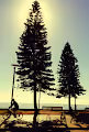 Manly Australia