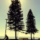Manly Australia
