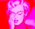 Marilyn - Fragile Icon